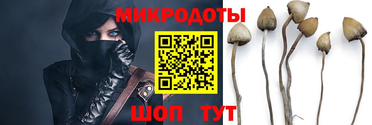 Владимир  хочу   Вход с VPN  Псилоцибиновые грибы мухоморы 